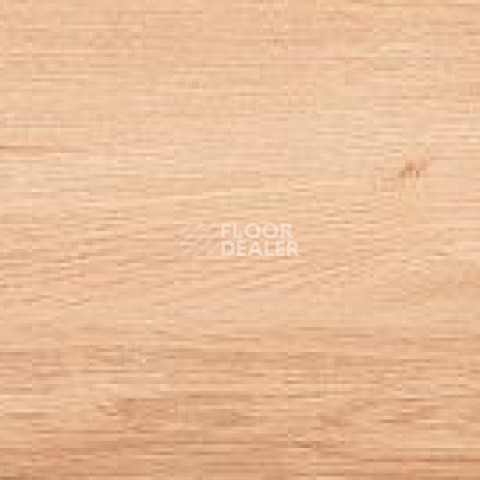 Ecoclick Wood  клеевой 2.3мм NOX-1705 Дуб Модена фото 2 | FLOORDEALER